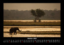 Der Elefantenkalender Fotokalender 2026 - 10