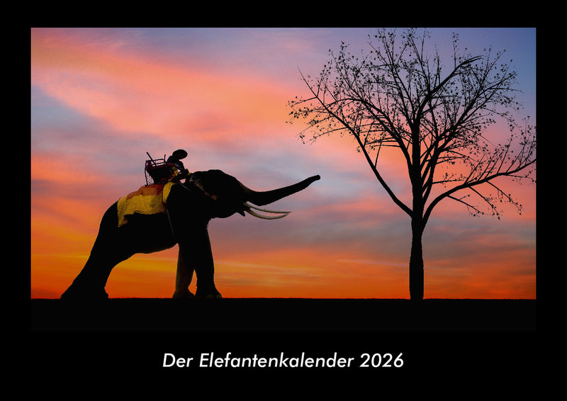 Der Elefantenkalender Fotokalender 2026 - Hauptbild