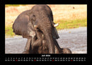 Der Elefantenkalender Fotokalender 2026 - 7
