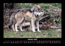 Tiere in der Wildnis Fotokalender 2026 - 10
