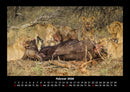 Tiere in der Wildnis Fotokalender 2026 - 2