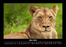 Tiere in der Wildnis Fotokalender 2026 - 3