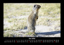 Tiere in der Wildnis Fotokalender 2026 - 6