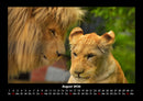 Tiere in der Wildnis Fotokalender 2026 - 8