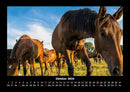 Die Welt der Pferde Fotokalender 2026 - 10