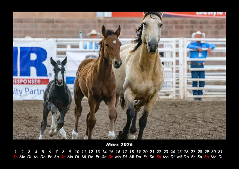 Die Welt der Pferde Fotokalender 2026 - 3