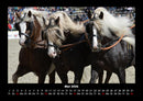 Die Welt der Pferde Fotokalender 2026 - 5