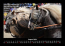 Die Welt der Pferde Fotokalender 2026 - 8