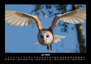 Welt der Vögel Fotokalender 2026 - 7
