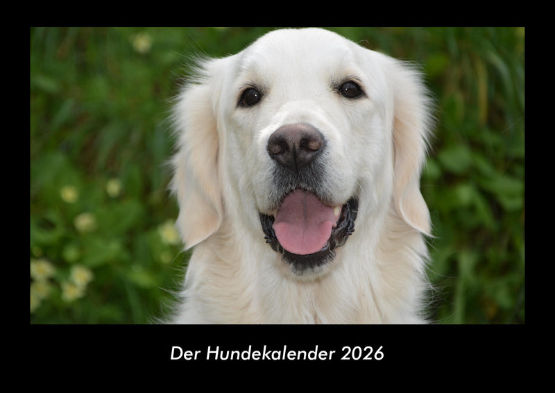 Der Hundekalender Fotokalender 2026 - Hauptbild