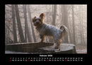 Der Hundekalender Fotokalender 2026 - 2