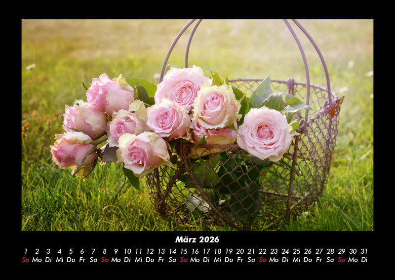 Rosen-Kalender Fotokalender 2026 - 3