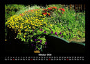 Blumenkalender Fotokalender 2026 - 10