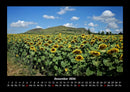 Blumenkalender Fotokalender 2026 - 12