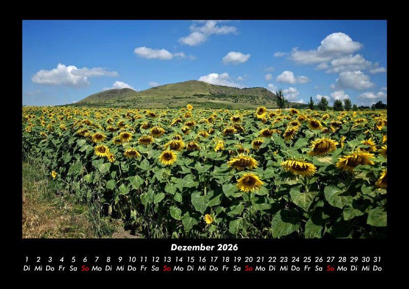 Blumenkalender Fotokalender 2026 - 12