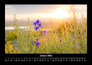 Blumenkalender Fotokalender 2026 - 1
