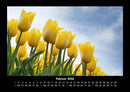 Blumenkalender Fotokalender 2026 - 2