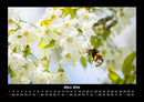 Blumenkalender Fotokalender 2026 - 3