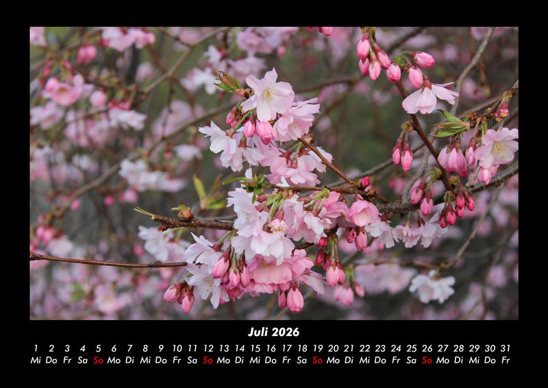 Blumenkalender Fotokalender 2026 - 7