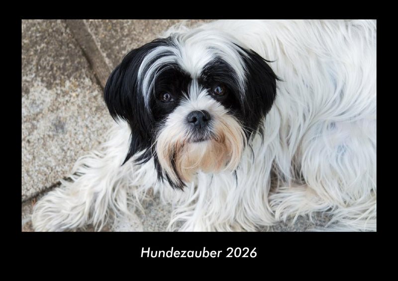Hundezauber Fotokalender 2026 - Hauptbild