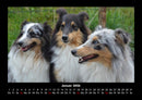 Hundezauber Fotokalender 2026 - 1