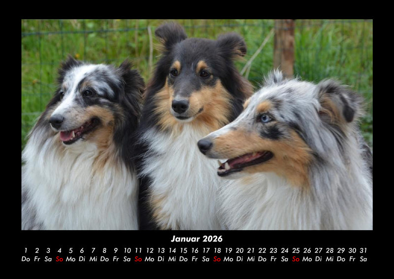 Hundezauber Fotokalender 2026 - 1