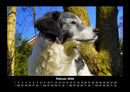 Hundezauber Fotokalender 2026 - 2