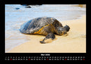 Strände der Welt Fotokalender 2026 - 5