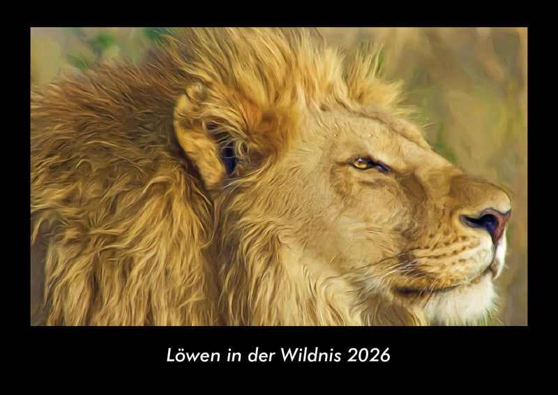 Löwen in der Wildnis Fotokalender 2026 - Hauptbild