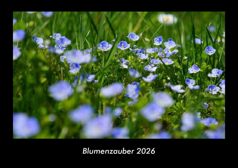 Blumenzauber Fotokalender 2026 - Hauptbild
