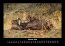 Welt der Tiere Fotokalender 2026 - 2