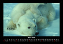 Welt der Tiere Fotokalender 2026 - 3