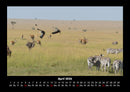 Welt der Tiere Fotokalender 2026 - 4