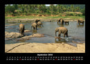 Elefanten - Die sanften Riesen Afrikas Fotokalender 2026 - 9