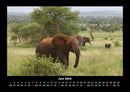 Elefanten - Die sanften Riesen Afrikas Fotokalender 2026 - 6
