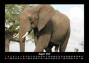 Elefanten - Die sanften Riesen Afrikas Fotokalender 2026 - 8