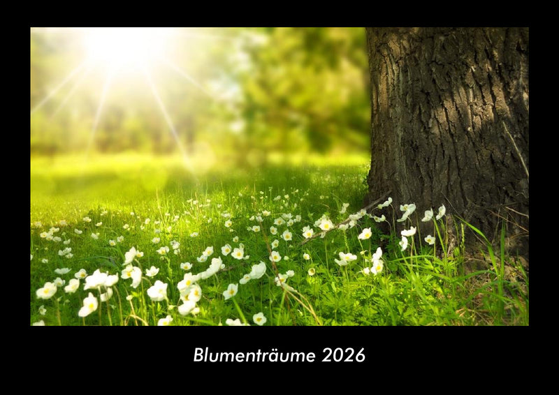 Blumenträume Fotokalender 2026 - Hauptbild