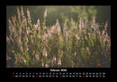 Blumenträume Fotokalender 2026 - 2