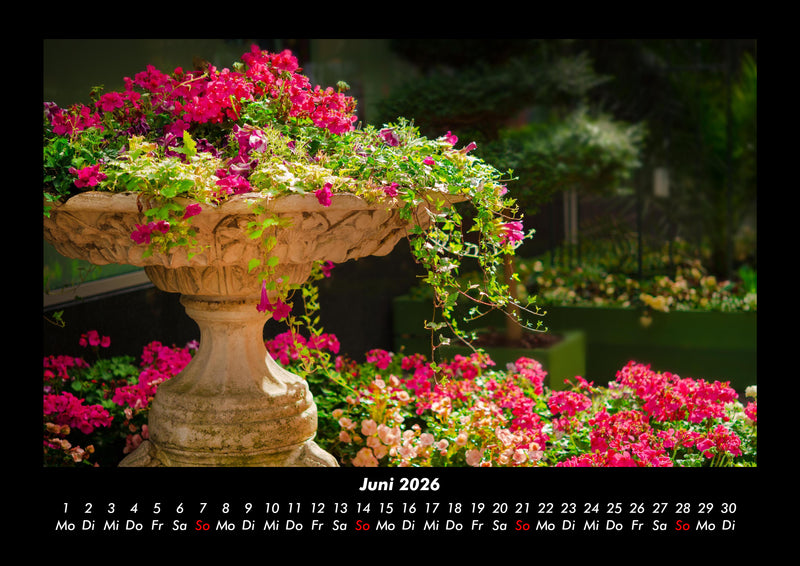 Blumenträume Fotokalender 2026 - 6