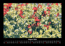 Blumenträume Fotokalender 2026 - 8