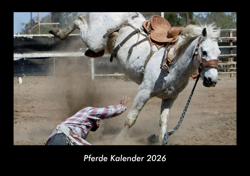 Pferde Kalender Fotokalender 2026 - Hauptbild