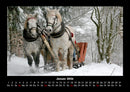 Pferde Kalender Fotokalender 2026 - 1