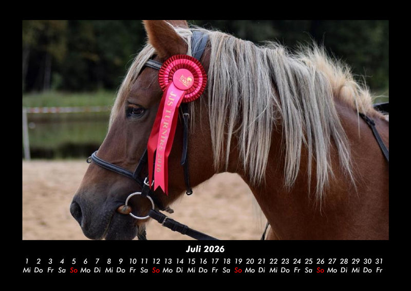 Pferde Kalender Fotokalender 2026 - 7