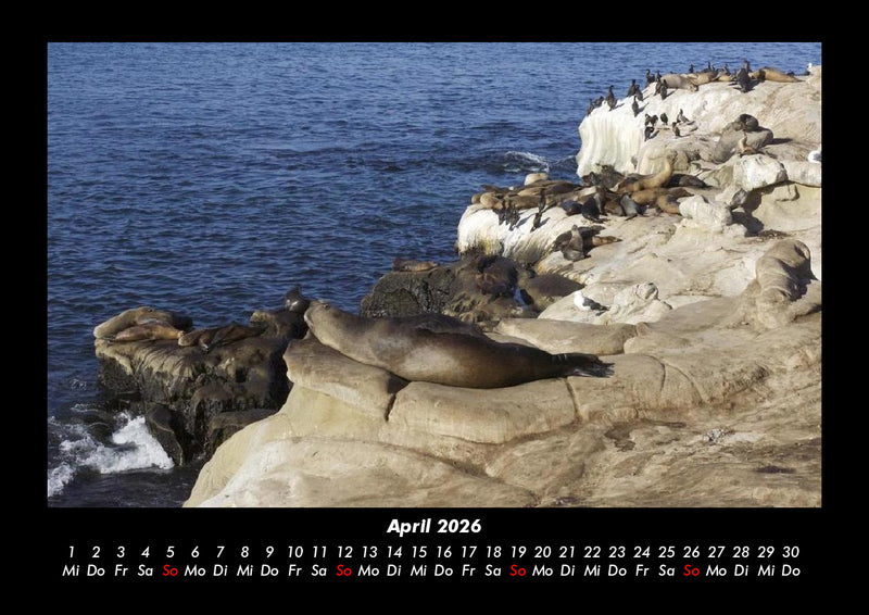 Seeblick Fotokalender 2026 - 4