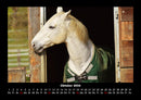 Pferde Kalender Fotokalender 2026 - 10
