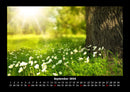 Blumenträume Fotokalender 2026 - 9