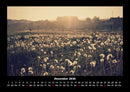 Blumenträume Fotokalender 2026 - 12