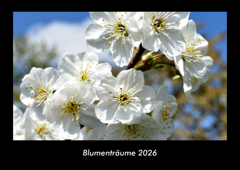Blumenträume Fotokalender 2026 - Hauptbild