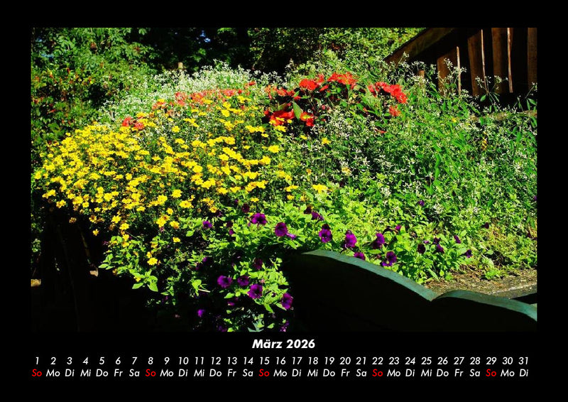 Blumenträume Fotokalender 2026 - 3