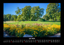 Blumenträume Fotokalender 2026 - 7